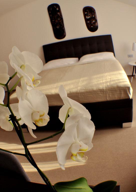 Studia Letcu 2A Appartement Olomouc Buitenkant foto
